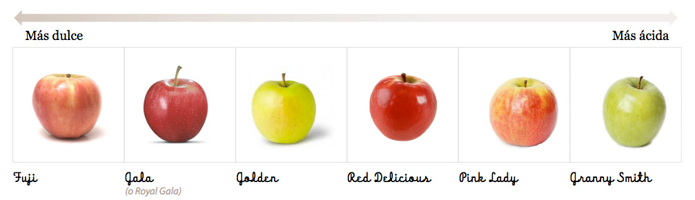 Manuscrito Dictado Ambigüedad Conoce los principales tipos de manzanas | Scoolinary Blog