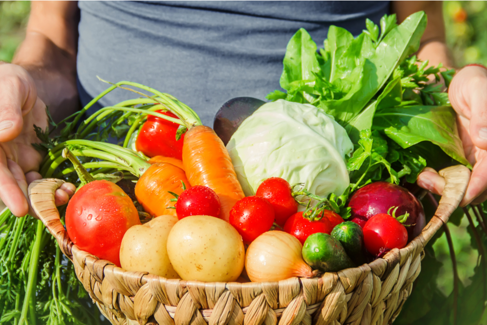 ¿Conoces La Diferencia Entre Verduras, Hortalizas, Vegetales Y Frutas ...